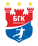 Логотип БГК "Мешков-Брест"